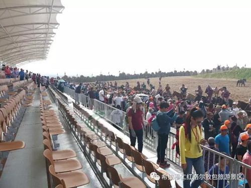 綠蛙看臺在紅格爾敖包邀您欣賞《漠南傳奇》