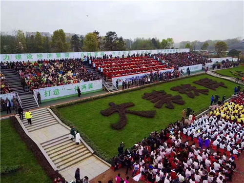 綠蛙看臺榮登衡陽鄉村生態暨珠暉“四美”旅游節活動現場