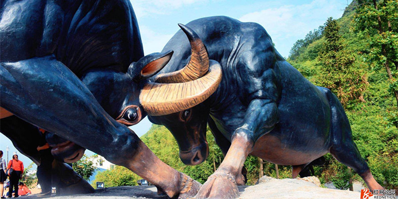 云臺山斗牛場,綠蛙看臺帶您引爆腎上腺,現(xiàn)場感受力的較量! 云臺山斗牛場,綠蛙看臺帶您引爆腎上腺,現(xiàn)場感受力的較量!