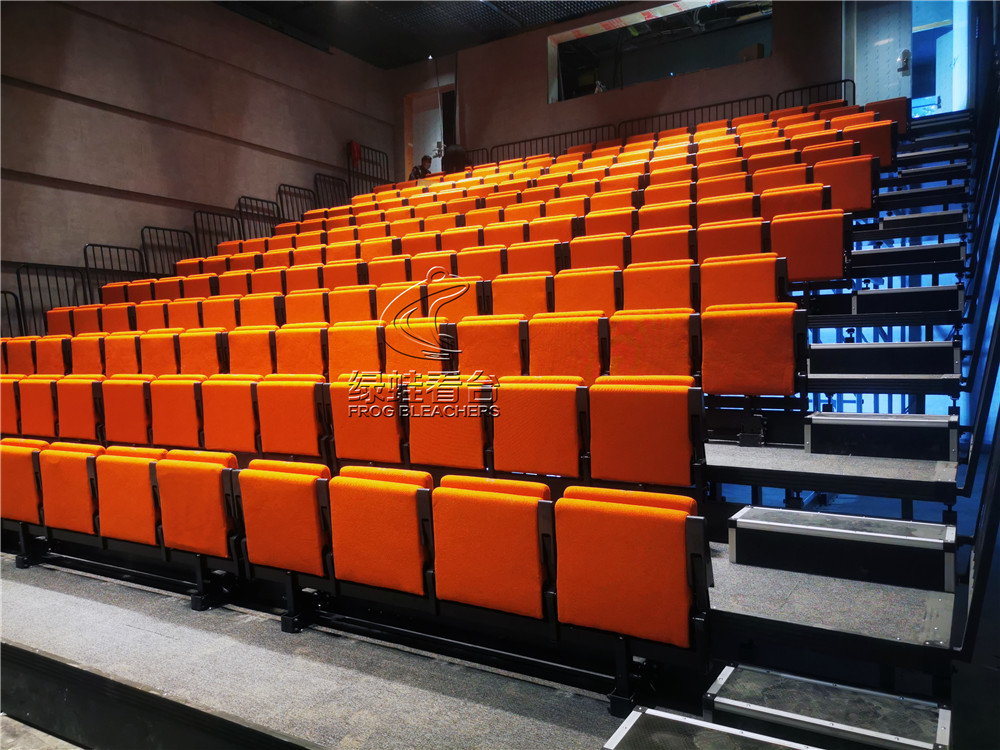 綠蛙看臺承接了深圳天鵝湖劇場中的電動伸縮看臺安裝